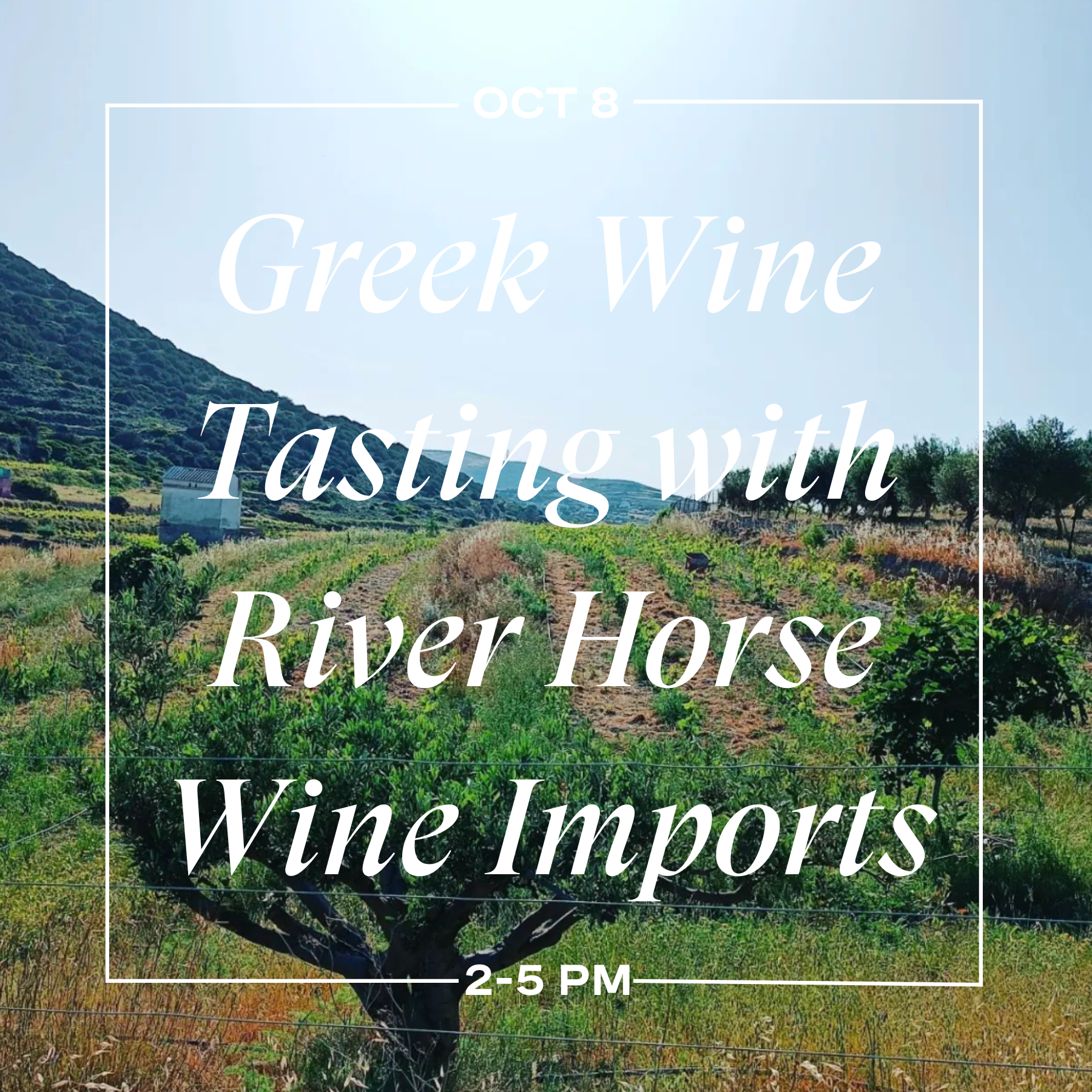 Greek Wine Tasting with River Horse Imports
